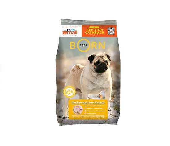 India Desire : Buy Born Free Puppy 3kg At Rs 520 From PaytmMall